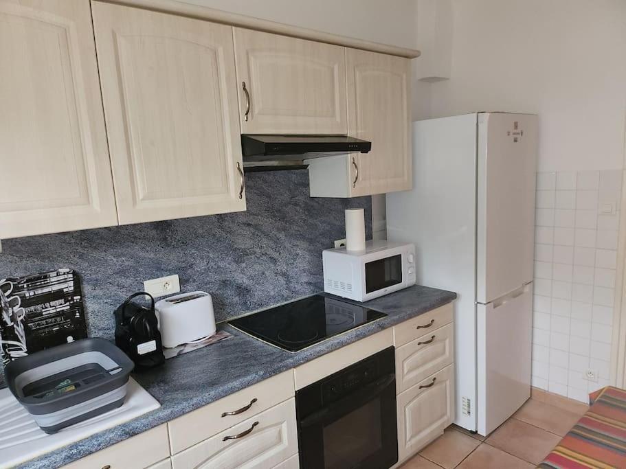 Residence Centrale Appartement 3 Pieces Garage Et Jardin Амелі-ле-Бен-Палальда Екстер'єр фото